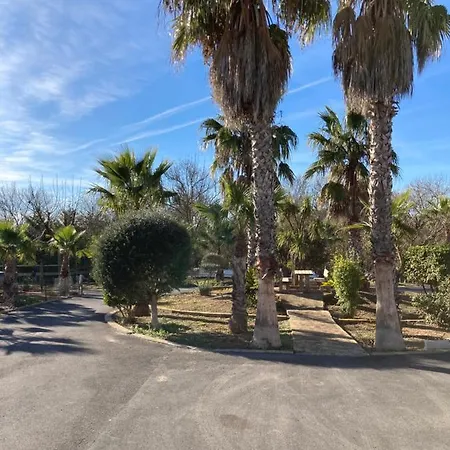 Arbore * Agde